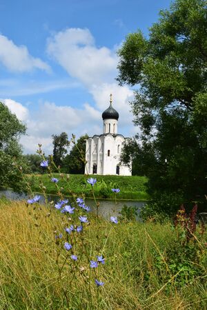 Pokrova church and beautiful knapweed flowersの写真素材