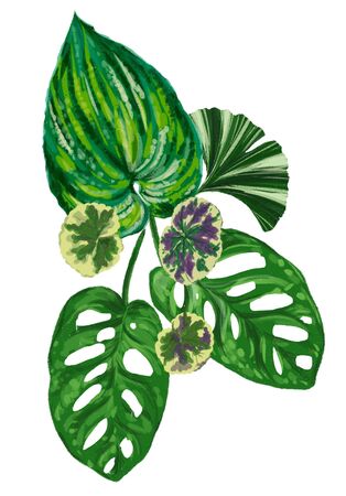 exotic plants on a white background for decor illustrationの写真素材