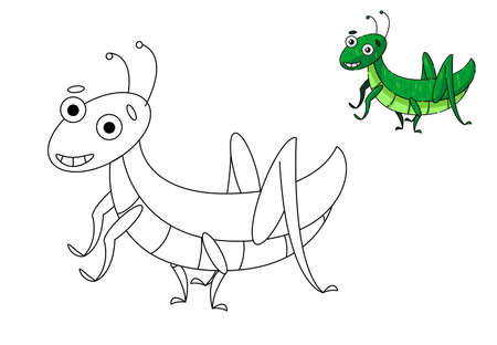 Grasshopper insect coloring page. childrens illustrationのイラスト素材