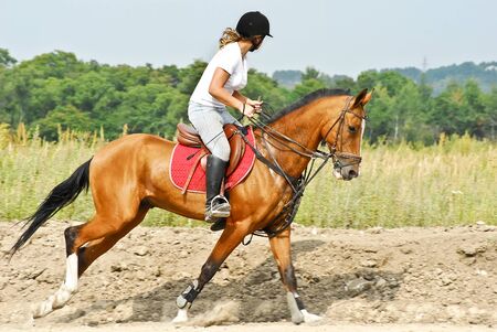 Girl is riding a Akhal-Teke horseの写真素材