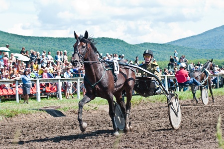 ARSENEV, RUSSIA - SEPTEMBER 03   Unidentified trotters race in arena on Riding show  The Cup of the Governor of the Primorsky Territory, 2011  on Sept 03, 2011 in Arsenev, Russiaのeditorial素材