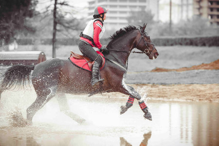 Young woman gallops a horse through water