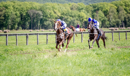 two jockey on a racehorse fight for victory on competition on Finishの写真素材