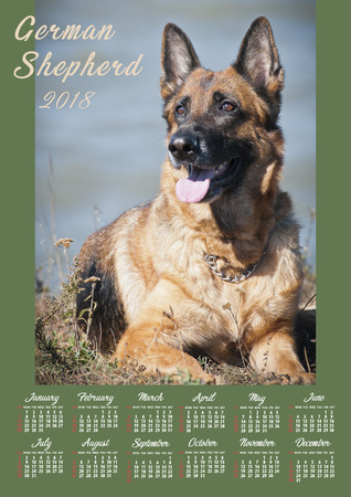 Wall Calendar Poster for the 2018 Year with a dog. Week Starts Sundayの写真素材