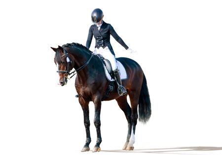 Equestrian sport - dressage rider portrait isolated on whiteの写真素材