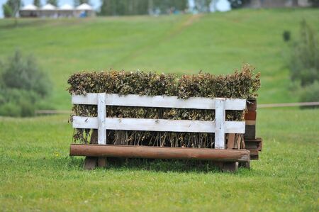 A cross-country a brush fence in a cross country eventの写真素材
