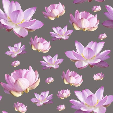 Pink Lotus Flower. Floral Botanical Flower. Seamless Background Pattern.の写真素材