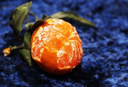 Fresh oranges, juicy and bright fruit. Xmasの写真素材
