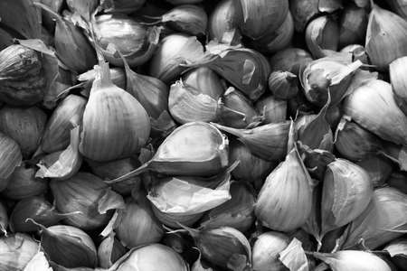 Garlic Allium sativum cloves close up for texture use as backgroundの写真素材