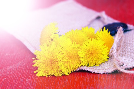 Flowers mother and stepmother on wooden table, sunlightの写真素材