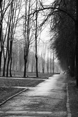 Old road with puddles in the industrial area in autumn, in the parkの写真素材