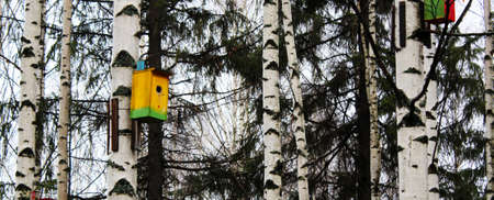Little Birdhouse over wooden table outdoors in the garden, outdoorの写真素材