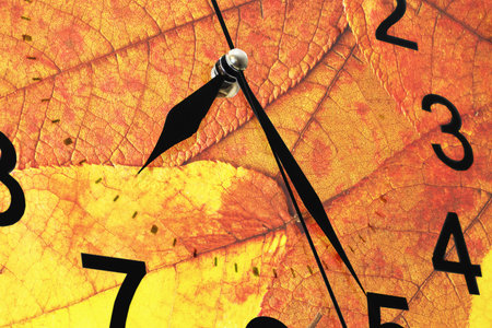 wall clock with black numbers and autumn background, closeup