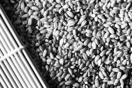 Dry barley, useful natural product, so closeの写真素材