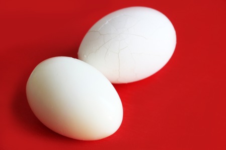 Egg on the white background, natural foodの写真素材