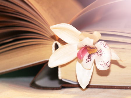 Macro view of book pages and orchid. Toned retroの写真素材