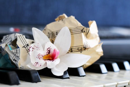 close-up music score on piano keyboard, beautiful orchid, objectの写真素材