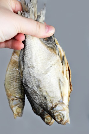 Dried salted fish, a delicious snack to beer, foodの写真素材