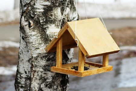 Birdhouse on birch tree. Nesting box on a tree in a park, spring. Outdoor.の写真素材