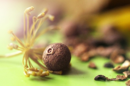 Black pepper, large spices, macro so closeの写真素材