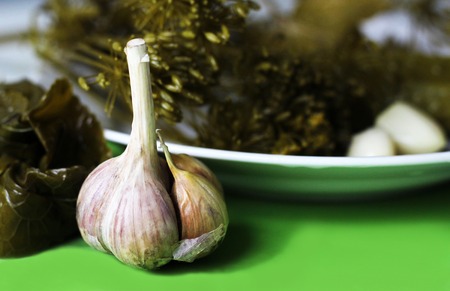 bunch of dill and garlic so close, macroの写真素材