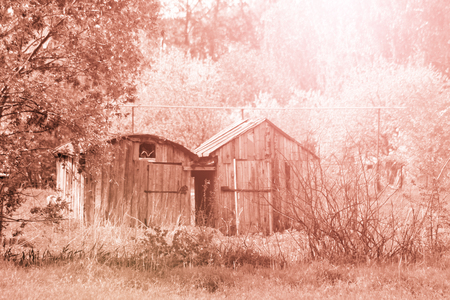 Part of an old farmhouse, nature, tonedの写真素材