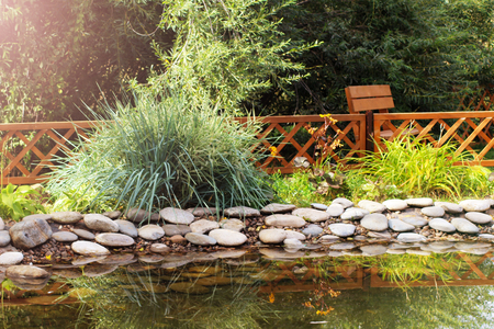 small pond on a summer day in the garden, natureの写真素材