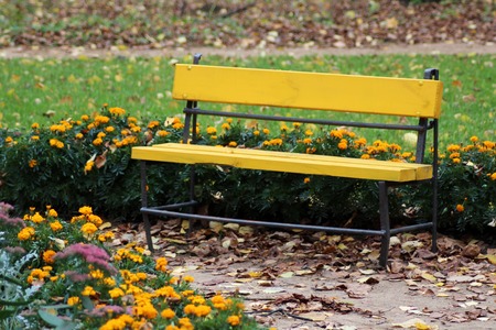 Yellow wooden bench in autumn Park, natureの写真素材