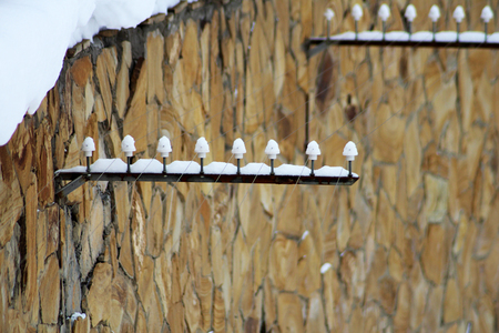 Electric fencing in the zoo, protection from dangerous animals, winterの写真素材