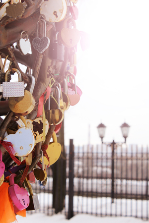 Many marriage love symbol on winter park backhroundの写真素材
