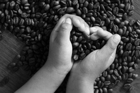 Roasted coffee beans in hands, homemade texture coffee background.の写真素材