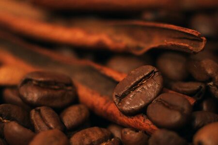Coffee beans and cinnamon sticks so closeの写真素材