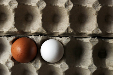 Chicken eggs in cardboard packaging top view