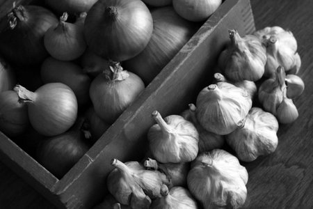 Red cabbage cutted in quarterの写真素材