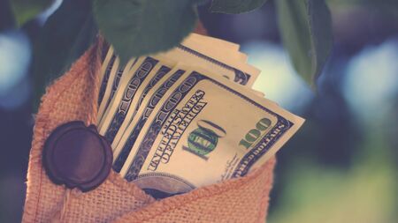 One hundred dollar bills in a bag on a tree branch, vintage imageの写真素材