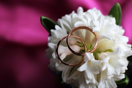 Two wedding rings and a white hyacinth flower so closeの写真素材