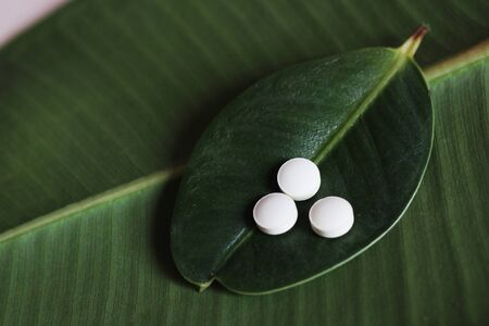 White capsules on a green ficus leaf top viewの写真素材