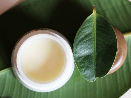 Face cream and wood leaf, natural cosmeticsの写真素材