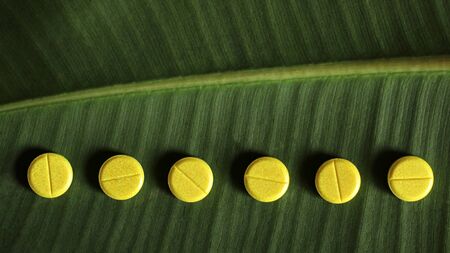 A row of yellow tablets on a ficus leaf top viewの写真素材