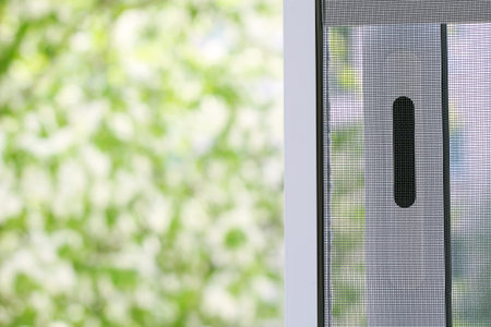 Plastic window and the summer so close