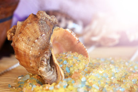 seashell and colored sea salt so close