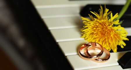Wedding rings with dandelions on the piano, happyの写真素材