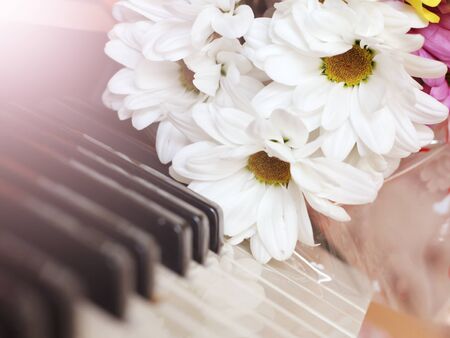 Spring white daisies and piano, sunlight tonedの写真素材