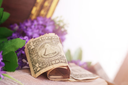 One dollar bill and flowers so close