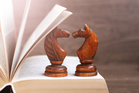 Wooden figure of a horse chess and a book, retro