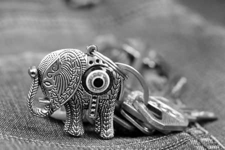Elephant keychain on a jeans so closeの写真素材