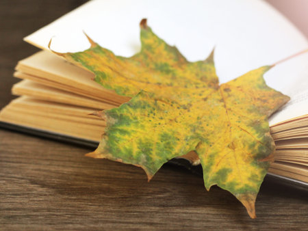 Autumn leaves and a book so close