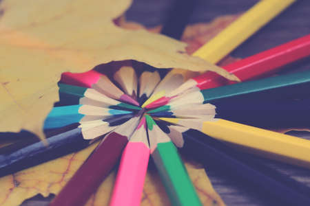 Set of colored pencils folded in a circle, vintage tonedの写真素材
