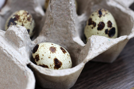 Quail eggs in a cardboard box so close