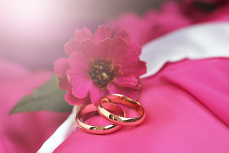 wedding rings and pink flower so closeの写真素材